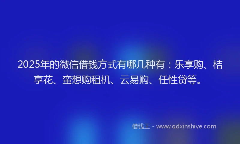 2025年的微信借钱方式有哪几种有：乐享购、桔享花、蛮想购租机、云易购、任性贷等。
