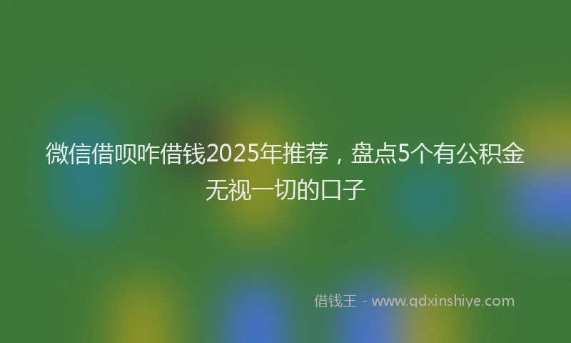 微信借呗咋借钱2025年推荐，盘点5个有公积金无视一切的口子