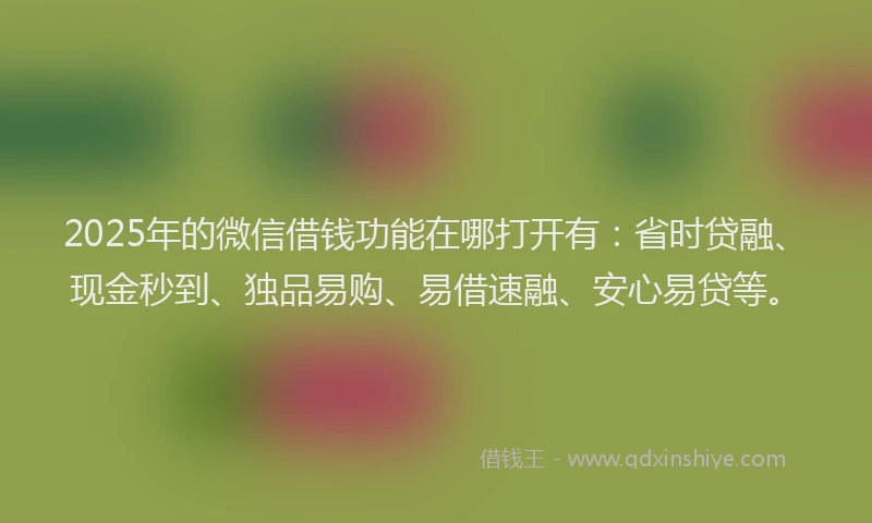 2025年的微信借钱功能在哪打开有：省时贷融、现金秒到、独品易购、易借速融、安心易贷等。