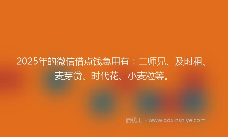 2025年的微信借点钱急用有：二师兄、及时租、麦芽贷、时代花、小麦粒等。