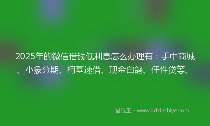 2025年的微信借钱低利息怎么办理有：手中商城、小象分期、柯基速借、现金白鸽、任性贷等。