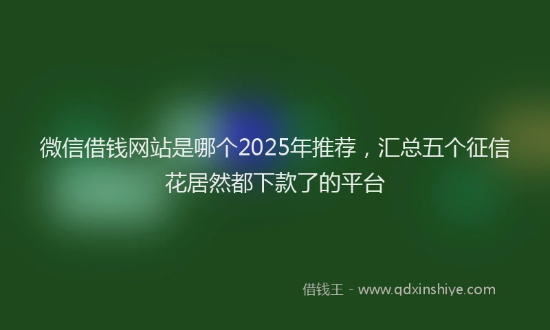 微信借钱网站是哪个2025年推荐，汇总五个征信花居然都下款了的平台