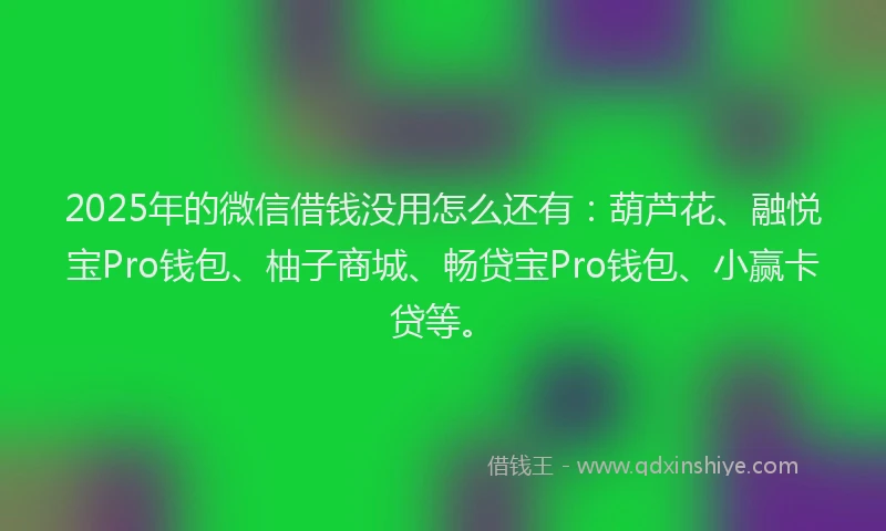 2025年的微信借钱没用怎么还有：葫芦花、融悦宝Pro钱包、柚子商城、畅贷宝Pro钱包、小赢卡贷等。
