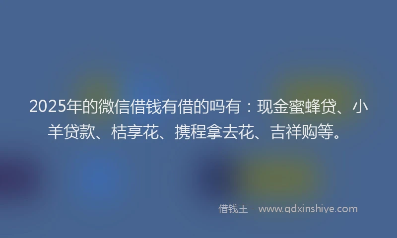 2025年的微信借钱有借的吗有：现金蜜蜂贷、小羊贷款、桔享花、携程拿去花、吉祥购等。