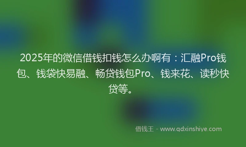 2025年的微信借钱扣钱怎么办啊有：汇融Pro钱包、钱袋快易融、畅贷钱包Pro、钱来花、读秒快贷等。