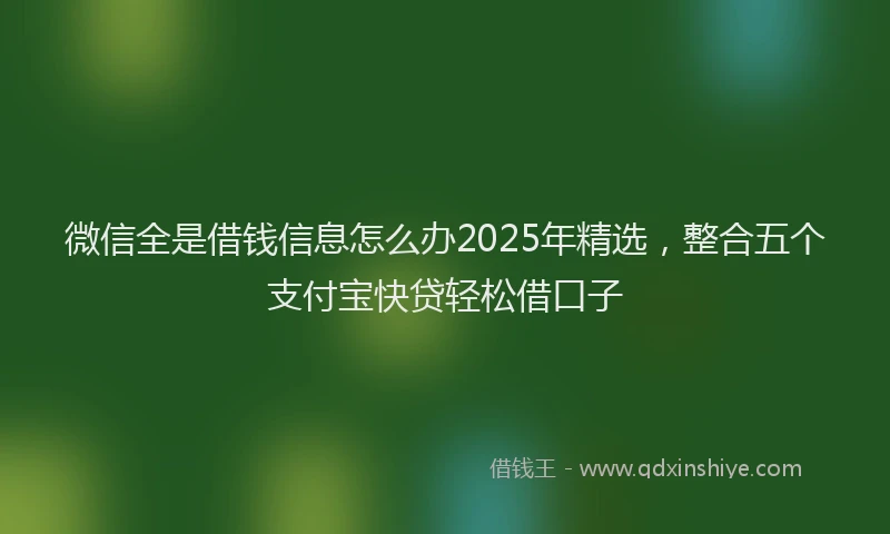 微信全是借钱信息怎么办2025年精选，整合五个支付宝快贷轻松借口子
