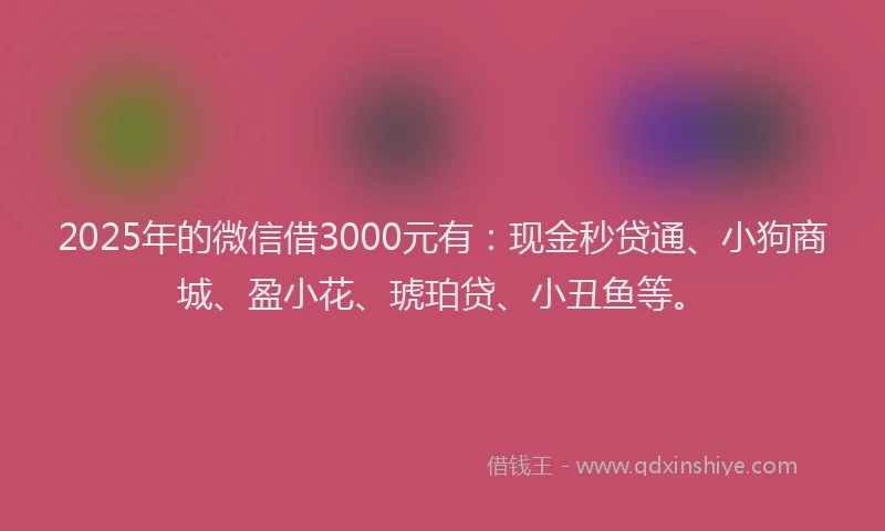 2025年的微信借3000元有：现金秒贷通、小狗商城、盈小花、琥珀贷、小丑鱼等。
