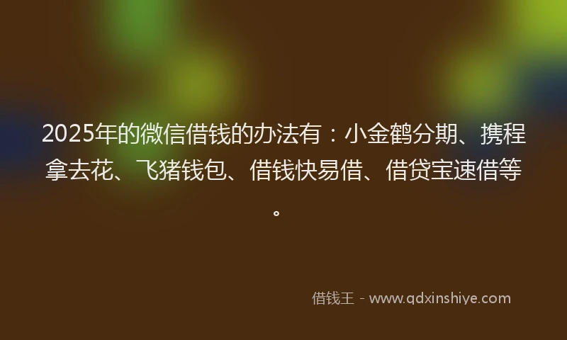 2025年的微信借钱的办法有：小金鹤分期、携程拿去花、飞猪钱包、借钱快易借、借贷宝速借等。