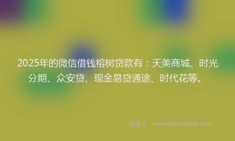 2025年的微信借钱榕树贷款有：天美商城、时光分期、众安贷、现金易贷通途、时代花等。