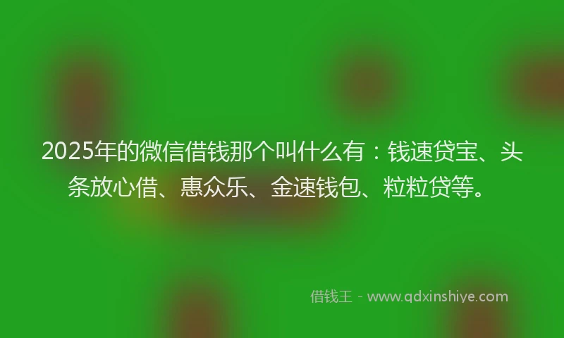 2025年的微信借钱那个叫什么有：钱速贷宝、头条放心借、惠众乐、金速钱包、粒粒贷等。