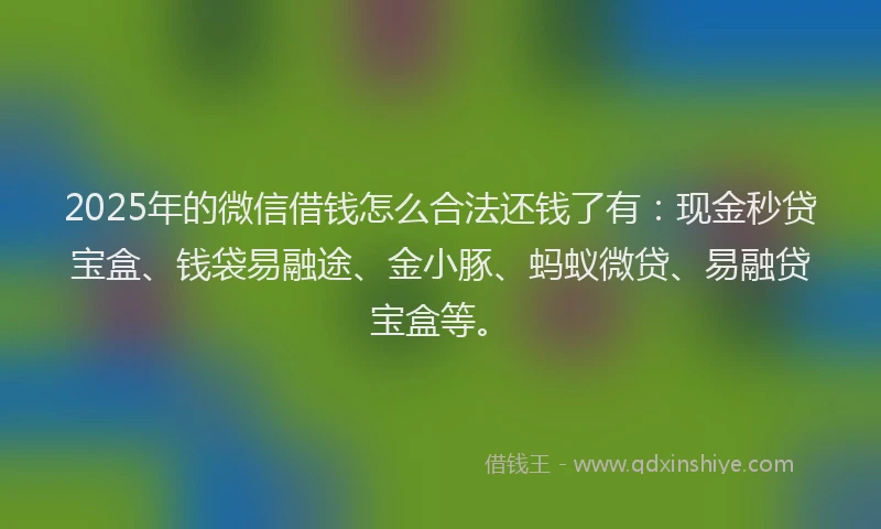 2025年的微信借钱怎么合法还钱了有：现金秒贷宝盒、钱袋易融途、金小豚、蚂蚁微贷、易融贷宝盒等。