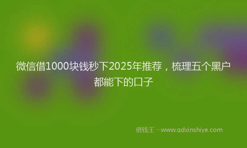 微信借1000块钱秒下2025年推荐，梳理五个黑户都能下的口子
