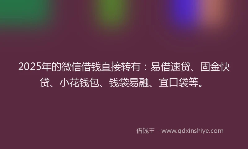2025年的微信借钱直接转有：易借速贷、固金快贷、小花钱包、钱袋易融、宜口袋等。