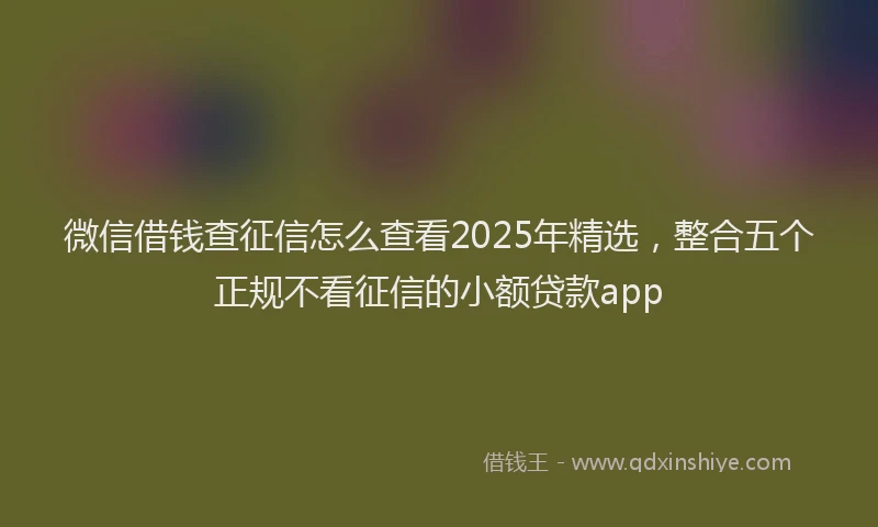 微信借钱查征信怎么查看2025年精选，整合五个正规不看征信的小额贷款app