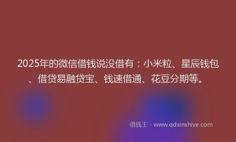 2025年的微信借钱说没借有：小米粒、星辰钱包、借贷易融贷宝、钱速借通、花豆分期等。