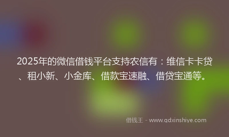 2025年的微信借钱平台支持农信有：维信卡卡贷、租小新、小金库、借款宝速融、借贷宝通等。