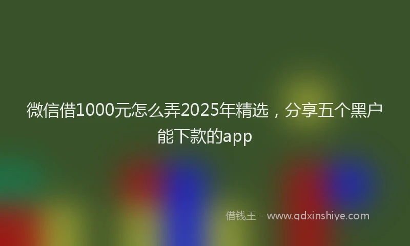 微信借1000元怎么弄2025年精选，分享五个黑户能下款的app