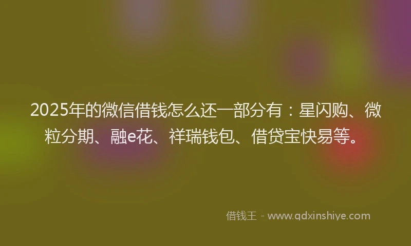2025年的微信借钱怎么还一部分有：星闪购、微粒分期、融e花、祥瑞钱包、借贷宝快易等。