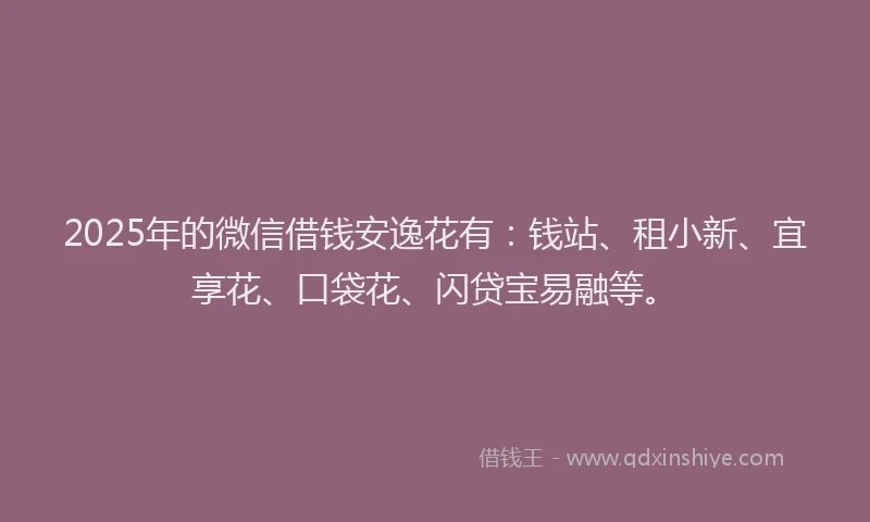 2025年的微信借钱安逸花有：钱站、租小新、宜享花、口袋花、闪贷宝易融等。