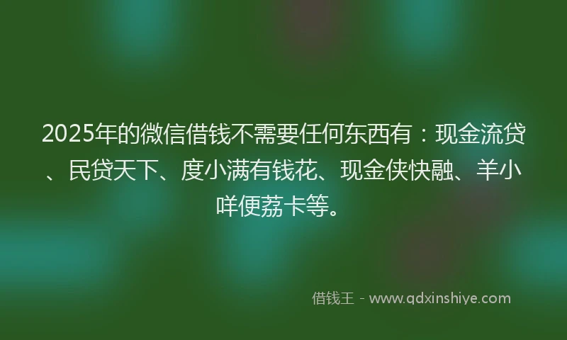 2025年的微信借钱不需要任何东西有：现金流贷、民贷天下、度小满有钱花、现金侠快融、羊小咩便荔卡等。