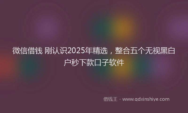 微信借钱 刚认识2025年精选，整合五个无视黑白户秒下款口子软件