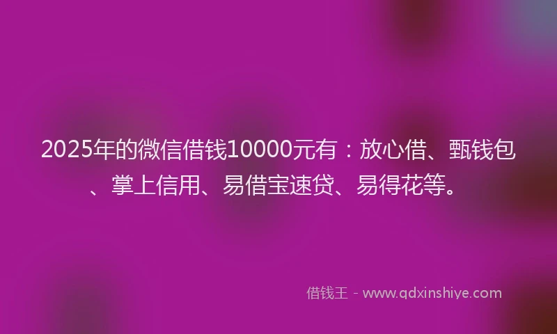 2025年的微信借钱10000元有：放心借、甄钱包、掌上信用、易借宝速贷、易得花等。