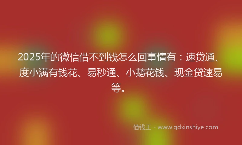 2025年的微信借不到钱怎么回事情有：速贷通、度小满有钱花、易秒通、小鹅花钱、现金贷速易等。
