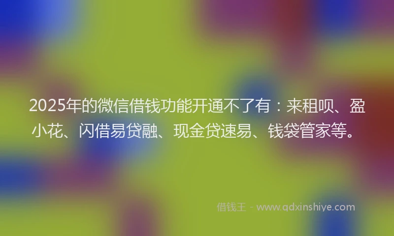 2025年的微信借钱功能开通不了有：来租呗、盈小花、闪借易贷融、现金贷速易、钱袋管家等。