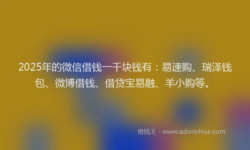 2025年的微信借钱一千块钱有：易速购、瑞泽钱包、微博借钱、借贷宝易融、羊小购等。