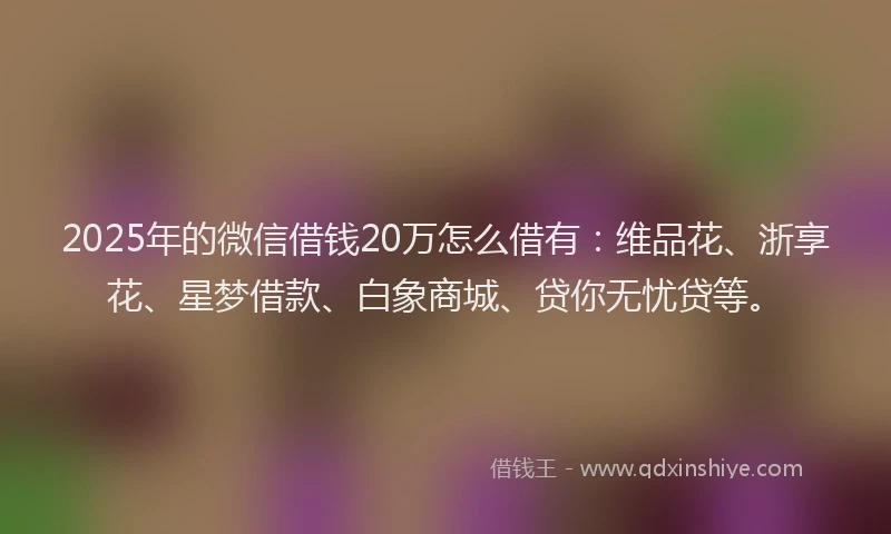 2025年的微信借钱20万怎么借有：维品花、浙享花、星梦借款、白象商城、贷你无忧贷等。