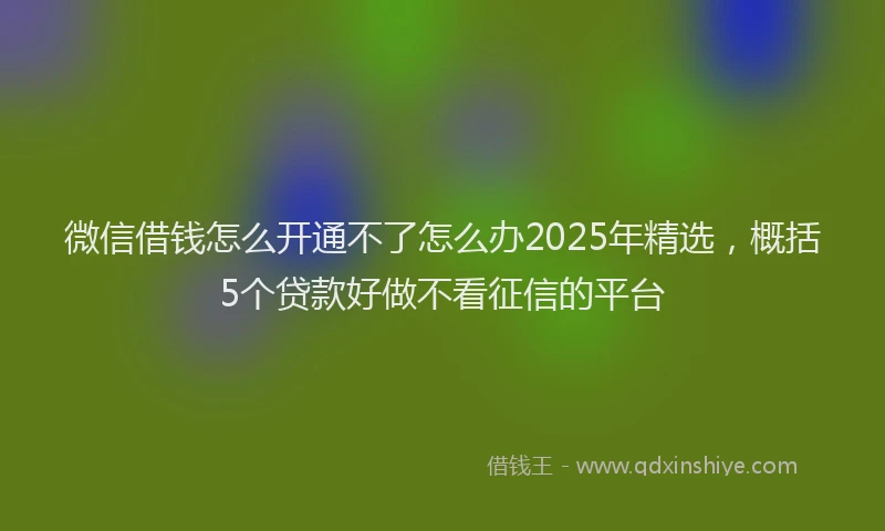 微信借钱怎么开通不了怎么办2025年精选，概括5个贷款好做不看征信的平台