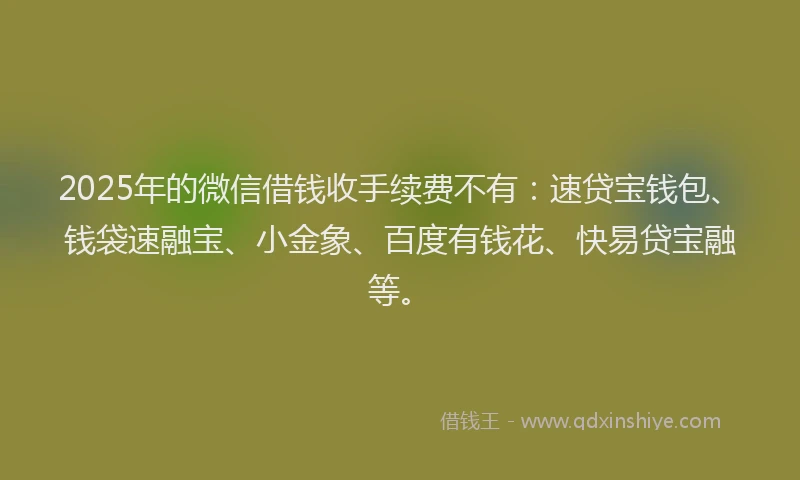 2025年的微信借钱收手续费不有：速贷宝钱包、钱袋速融宝、小金象、百度有钱花、快易贷宝融等。