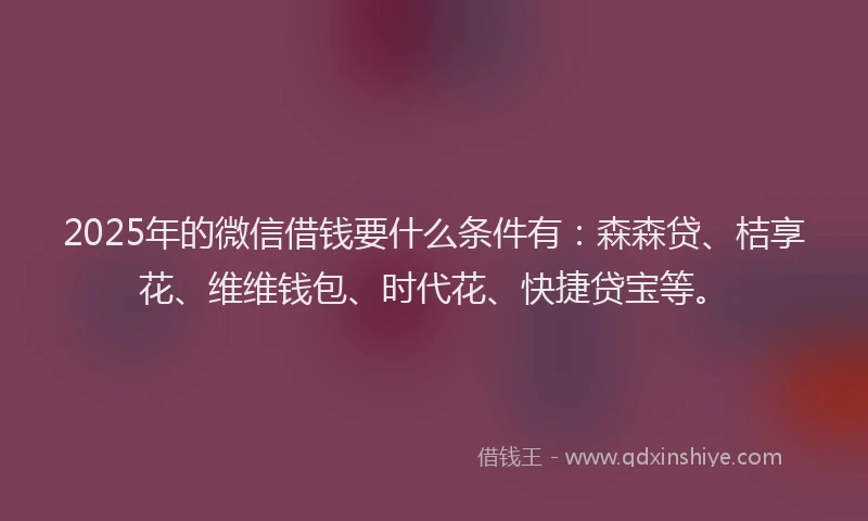 2025年的微信借钱要什么条件有：森森贷、桔享花、维维钱包、时代花、快捷贷宝等。