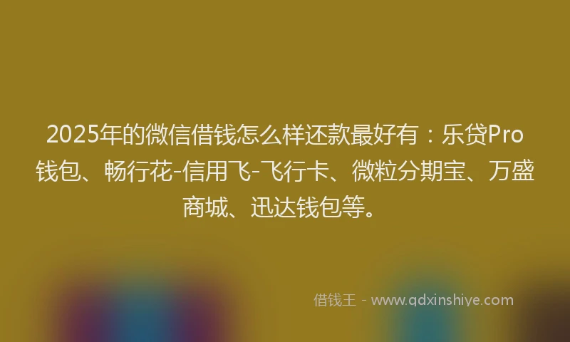 2025年的微信借钱怎么样还款最好有：乐贷Pro钱包、畅行花-信用飞-飞行卡、微粒分期宝、万盛商城、迅达钱包等。