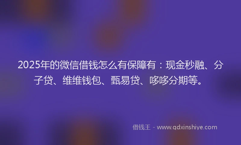 2025年的微信借钱怎么有保障有：现金秒融、分子贷、维维钱包、甄易贷、哆哆分期等。