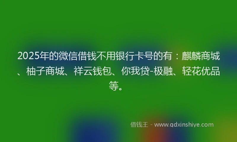 2025年的微信借钱不用银行卡号的有：麒麟商城、柚子商城、祥云钱包、你我贷-极融、轻花优品等。