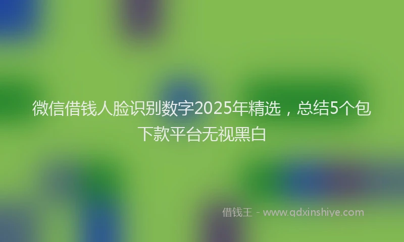 微信借钱人脸识别数字2025年精选，总结5个包下款平台无视黑白
