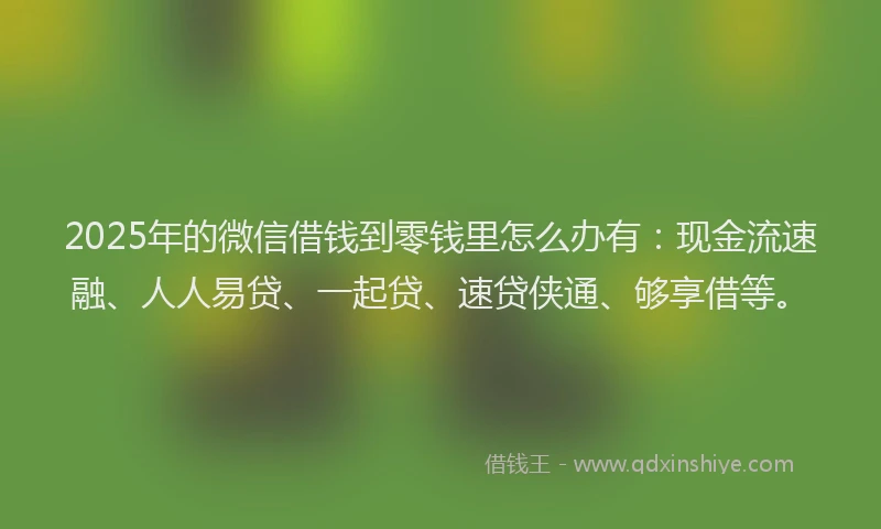 2025年的微信借钱到零钱里怎么办有：现金流速融、人人易贷、一起贷、速贷侠通、够享借等。