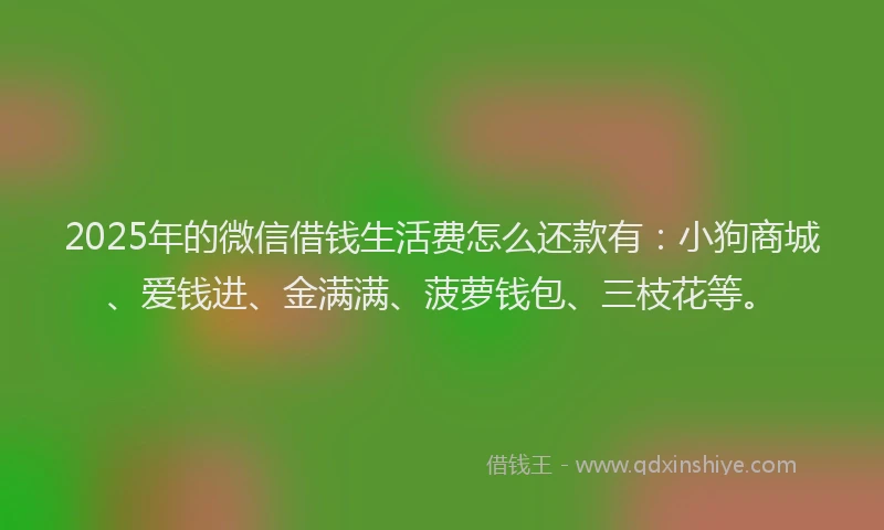 2025年的微信借钱生活费怎么还款有：小狗商城、爱钱进、金满满、菠萝钱包、三枝花等。