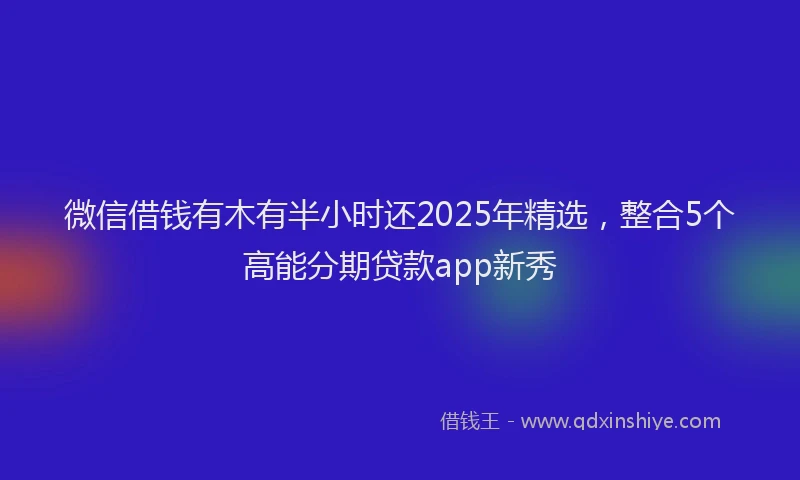 微信借钱有木有半小时还2025年精选，整合5个高能分期贷款app新秀