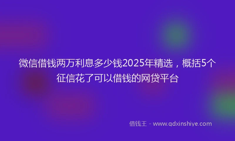 微信借钱两万利息多少钱2025年精选，概括5个征信花了可以借钱的网贷平台