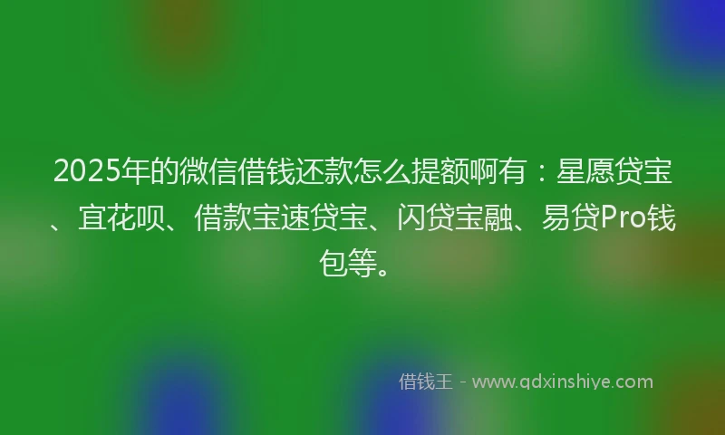 2025年的微信借钱还款怎么提额啊有：星愿贷宝、宜花呗、借款宝速贷宝、闪贷宝融、易贷Pro钱包等。