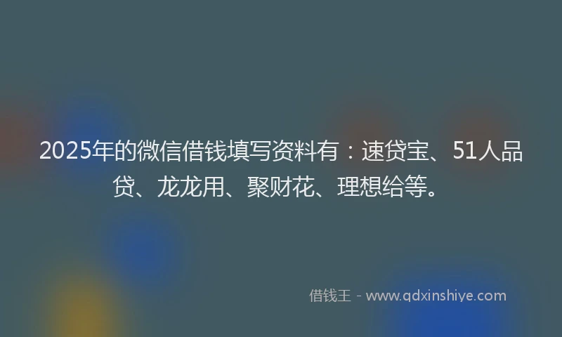 2025年的微信借钱填写资料有：速贷宝、51人品贷、龙龙用、聚财花、理想给等。