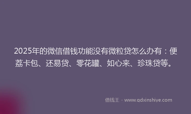 2025年的微信借钱功能没有微粒贷怎么办有：便荔卡包、还易贷、零花罐、如心来、珍珠贷等。