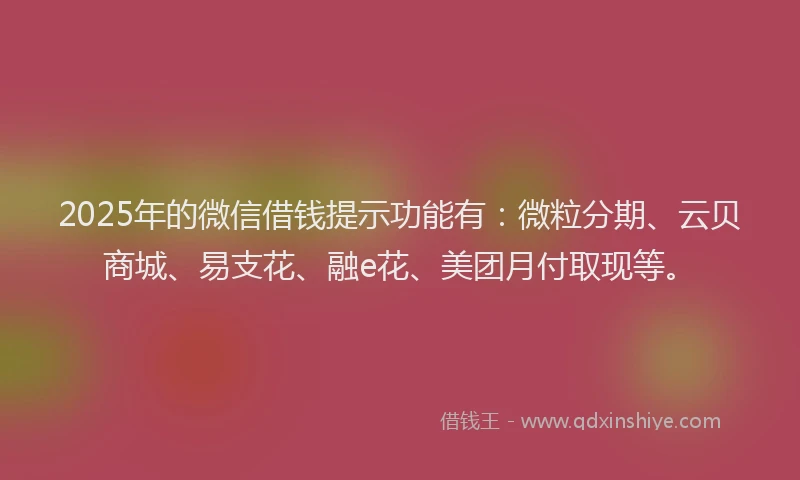 2025年的微信借钱提示功能有：微粒分期、云贝商城、易支花、融e花、美团月付取现等。