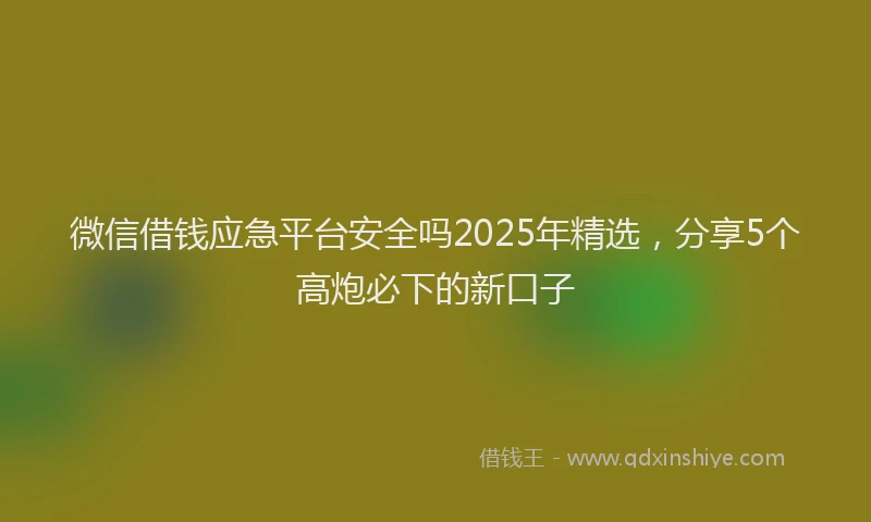 微信借钱应急平台安全吗2025年精选，分享5个高炮必下的新口子