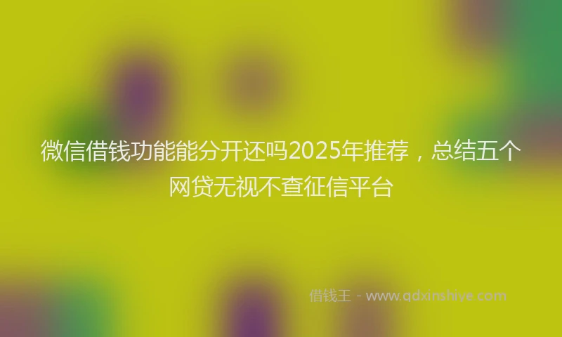 微信借钱功能能分开还吗2025年推荐，总结五个网贷无视不查征信平台