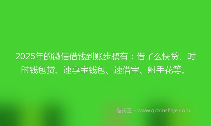 2025年的微信借钱到账步骤有：借了么快贷、时时钱包贷、速享宝钱包、速借宝、射手花等。