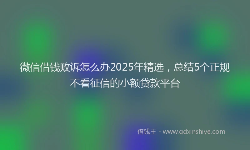 微信借钱败诉怎么办2025年精选，总结5个正规不看征信的小额贷款平台