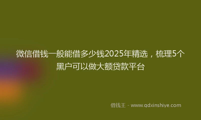 微信借钱一般能借多少钱2025年精选，梳理5个黑户可以做大额贷款平台